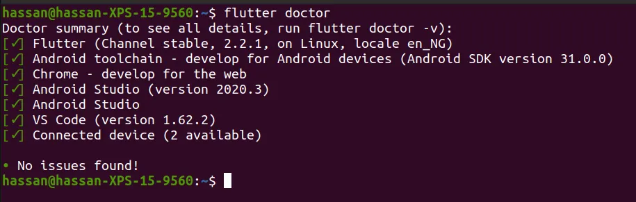 flutter doctor.png