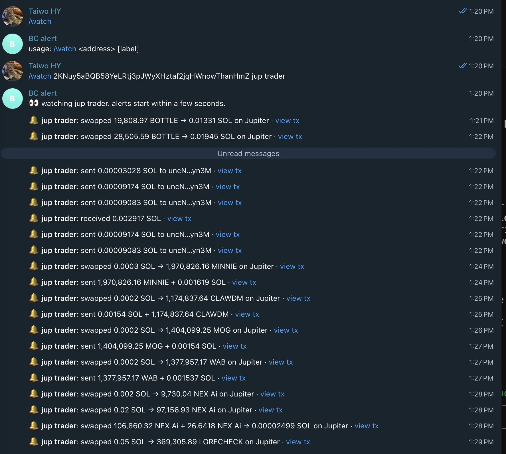 solwatch alerts in Telegram for a busy Jupiter trader wallet